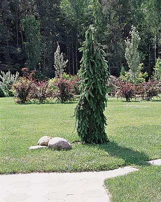 Naturharden în pădurea suburbană