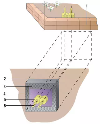 Création tropique