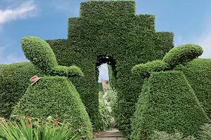 Hedges. 13726_1