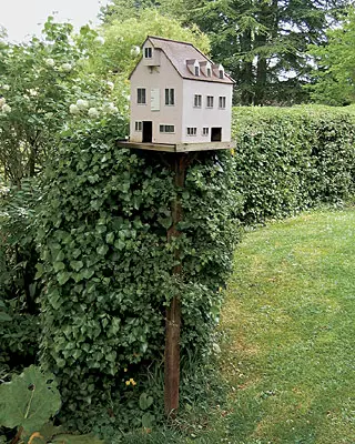 Ideer foreslått av naturen