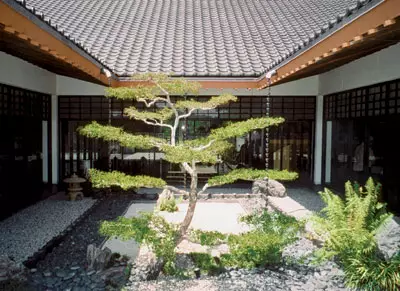 jardín japonés