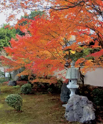 جاپانی باغ