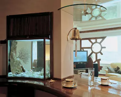 Design Aquariums.