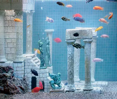 Design akvaariumid
