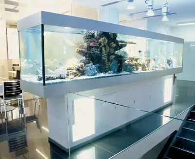 Design Aquariums.