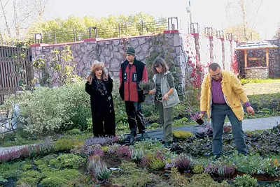 Paradise Garden Alla Borisovna.