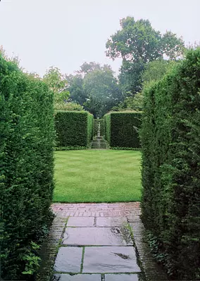 Het koninkrijk van gras