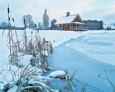 Mellan höga vass