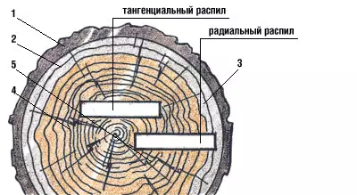 Здраво, дрво