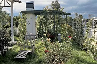 Garden that lives on the roof