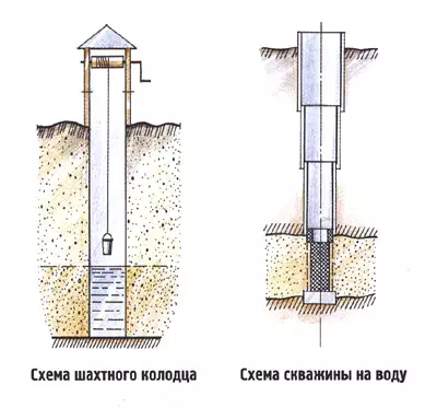 Таны сайт дээрх хавар