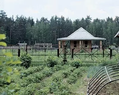 Rumah sendiri: tepung proyek