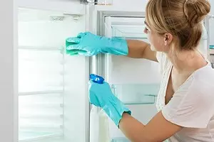 Τι να πλύνετε ένα νέο ψυγείο πριν από την πρώτη χρήση: 6 αποτελεσματικά μέσα 1518_1