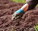 Ako používať močovinu v záhrade na jar: 4 hnojivo používa 15635_11