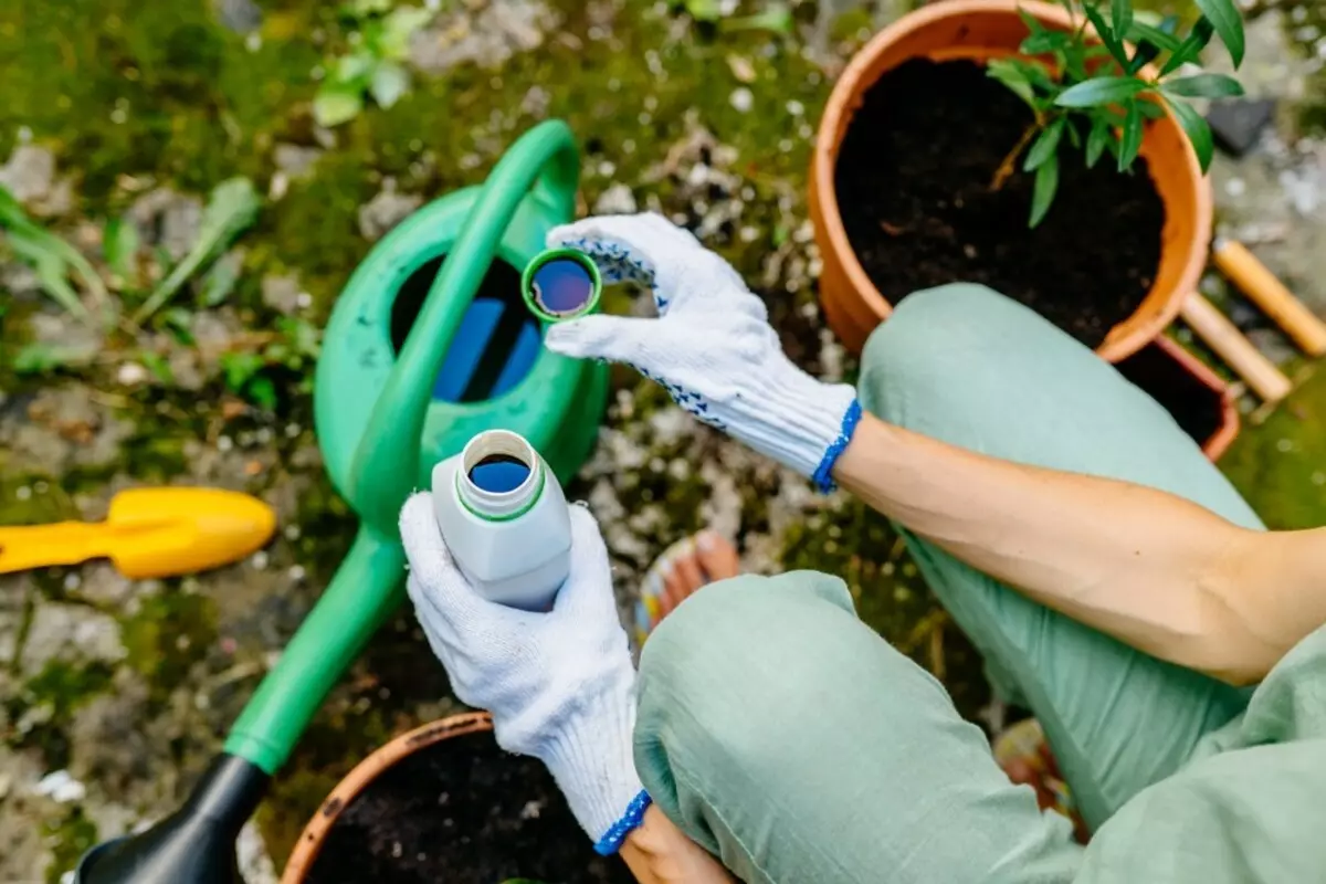 Cómo usar la urea en el jardín en la primavera: 4 usos fertilizantes 15635_12