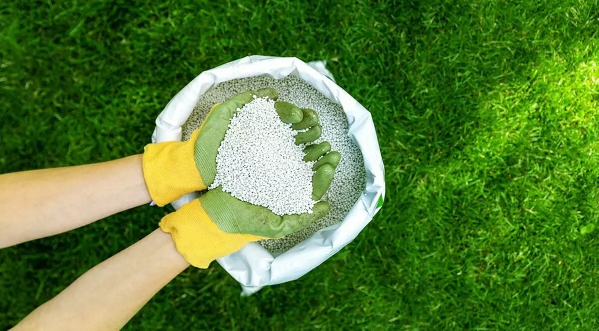 Cómo usar la urea en el jardín en la primavera: 4 usos fertilizantes