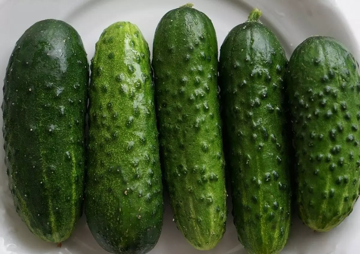9 Cucumbers tsara indrindra ho an'ny Greenhouse 15638_12