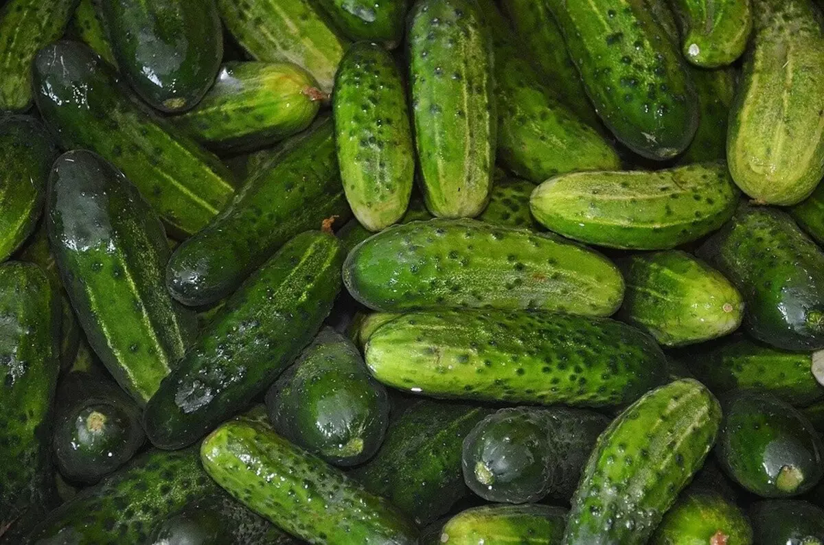 9 best cucumbers ji bo kesk 15638_15