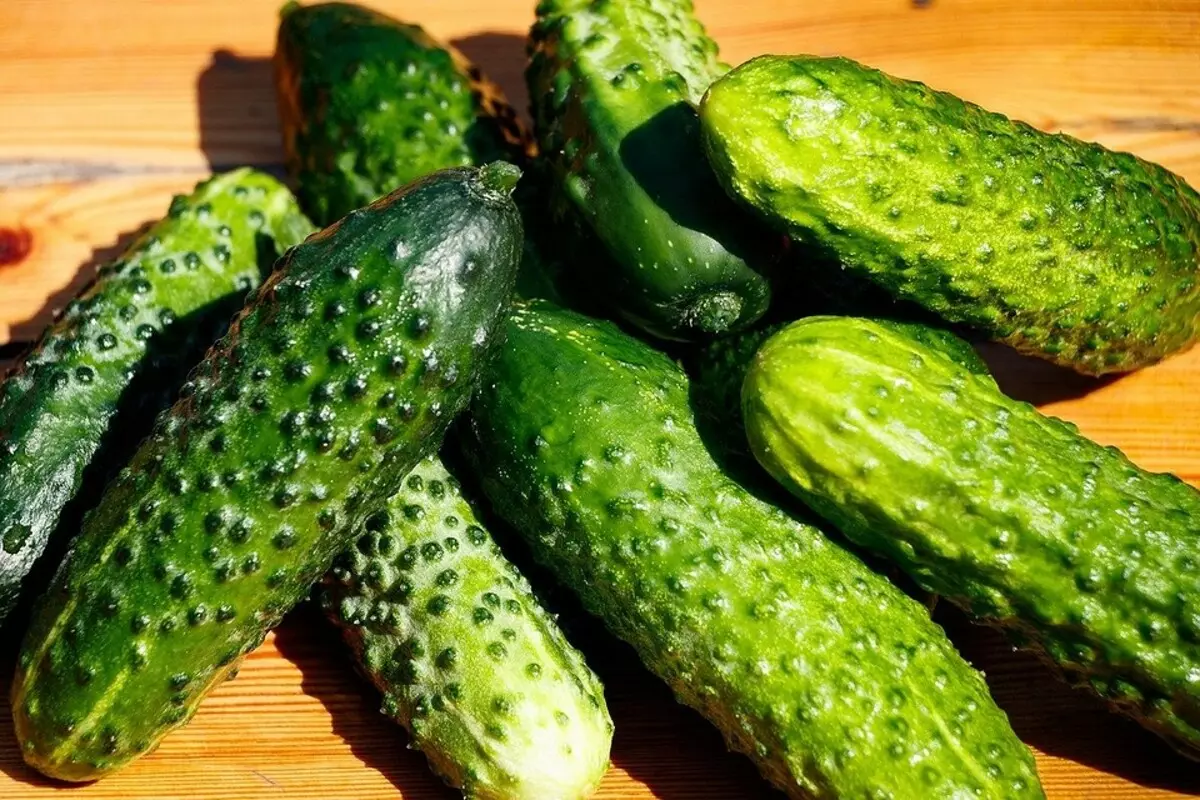 9 beste komkommers voor kas 15638_5