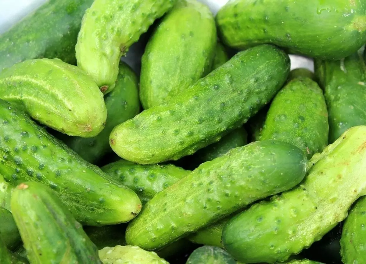 9 best cucumbers ji bo kesk 15638_6
