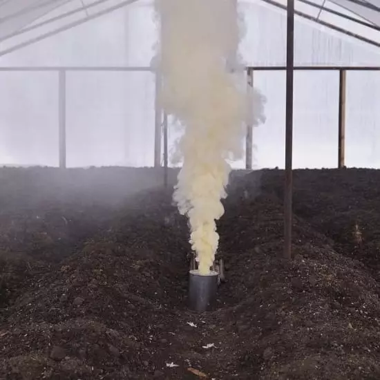 Giunsa ang paghugas gikan sa sulod sa usa ka greenhouse gikan sa Polycarbonate sa Spring: 11 Epektibo nga Kahulugan 15645_13