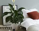 6 savršenih biljaka spavaće sobe 1587_2