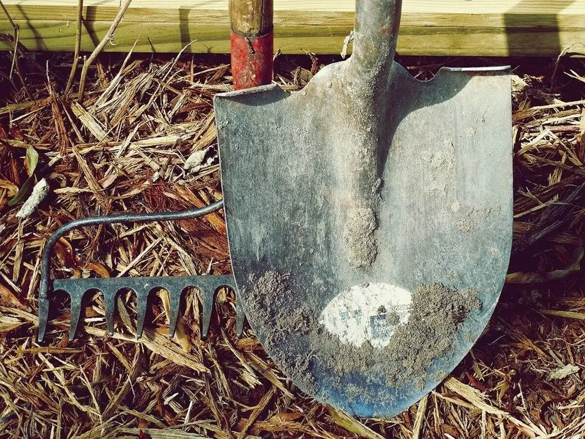 Cum să pregătiți instrumente de grădină în noul sezon: 6 sfaturi care au nevoie de dacket-uri 16231_3