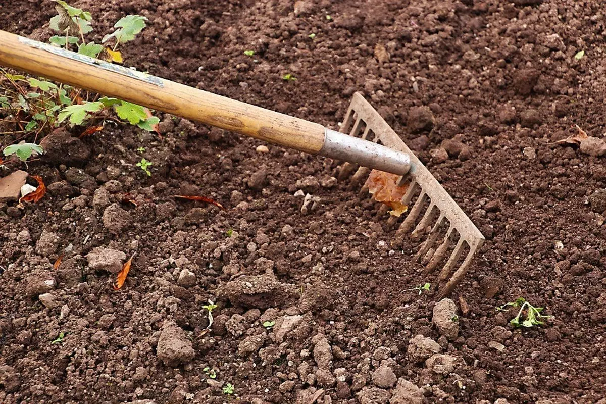 Πώς να προετοιμάσετε τα εργαλεία κήπου στη νέα εποχή: 6 συμβουλές που χρειάζονται οι δεξαμενές 16231_6
