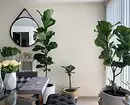 5 houseplants ที่คุ้นเคยซึ่งเป็นเรื่องยากมากที่จะดูแล 16454_3