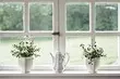 7 Creative ways to transform the old window sill