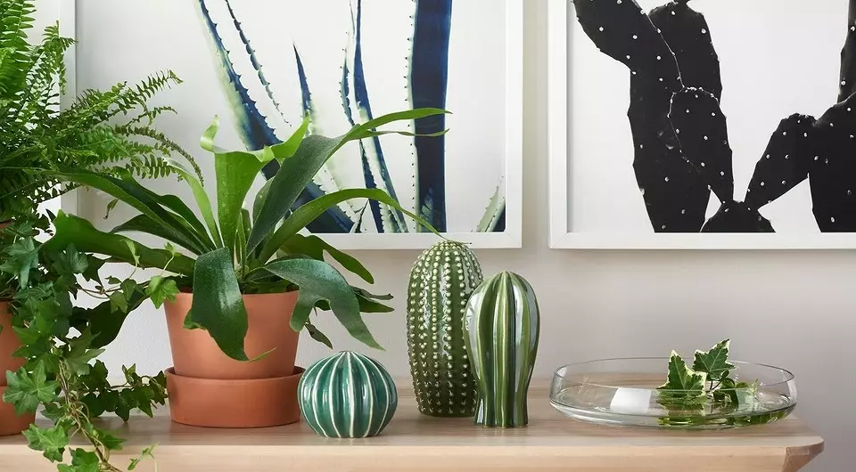 8 decorative things from IKEA that will decorate any room
