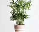 6 veľkých rastlín, ktoré budú ozdobiť váš interiér 16814_32