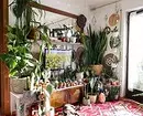 10 klasseværelset jungleinteriør til indendørs plante elskere 18832_112