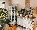 10 Classroom Jungle Interiors for Indoor Plant Lovers 18832_3