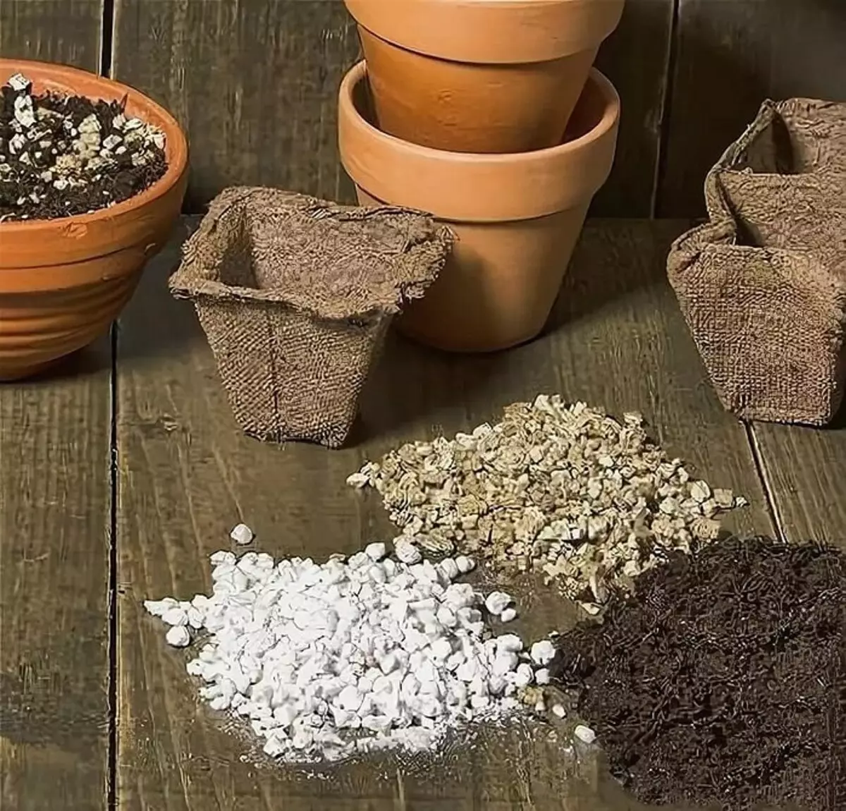 Vermiculite cho cây: 9 Phương pháp ứng dụng 19251_26