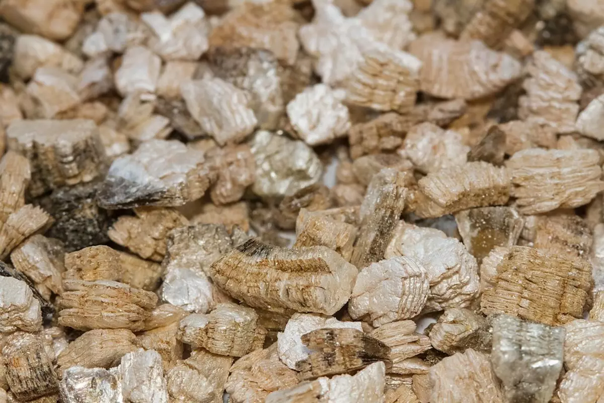 Vermiculite don tsire-tsire: hanyoyi 9 na aikace-aikace 19251_6