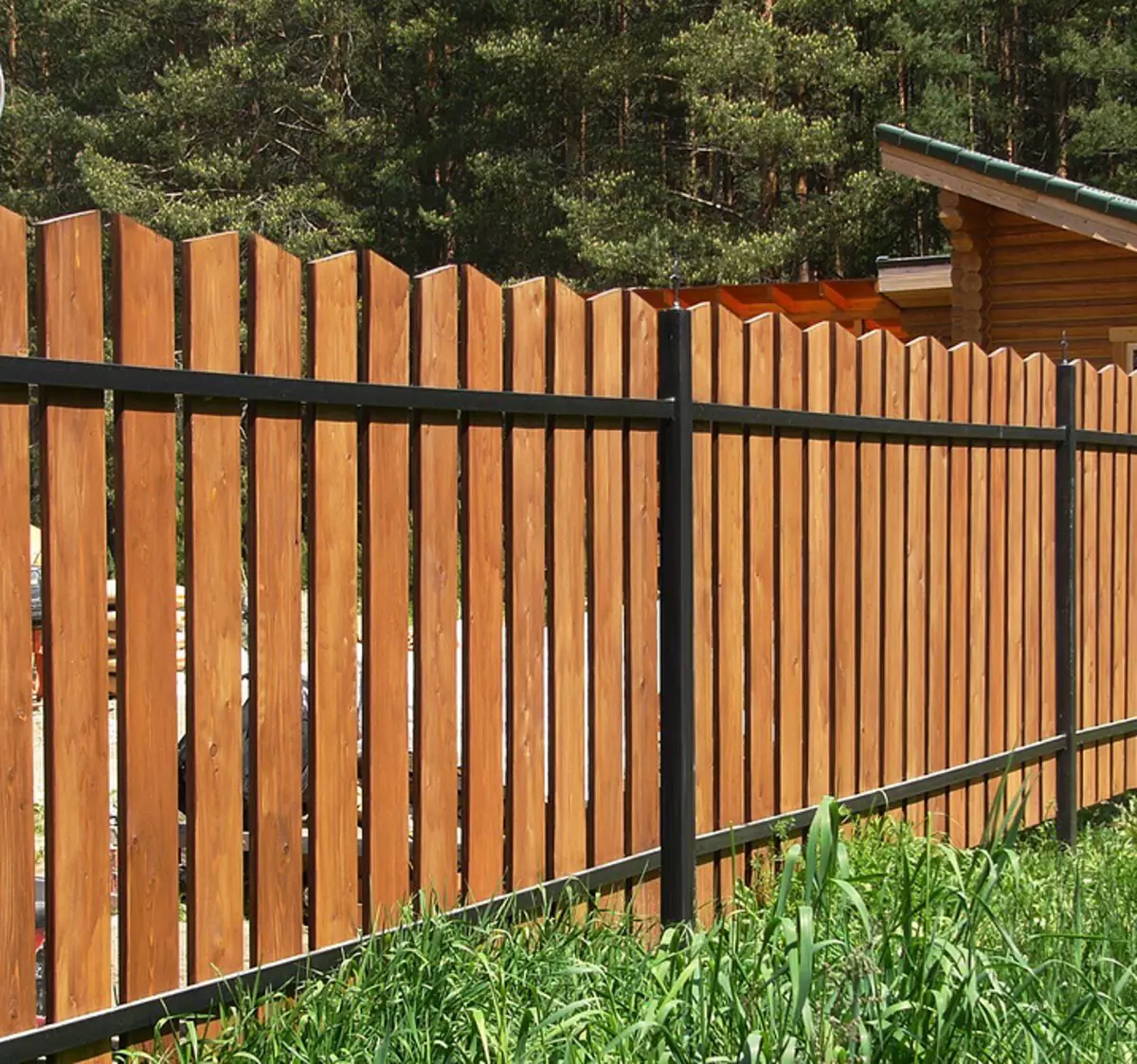 Ne tür bir çit size uygun olacak? 8 farklı ihtiyaçlar için çit türü 20144_10