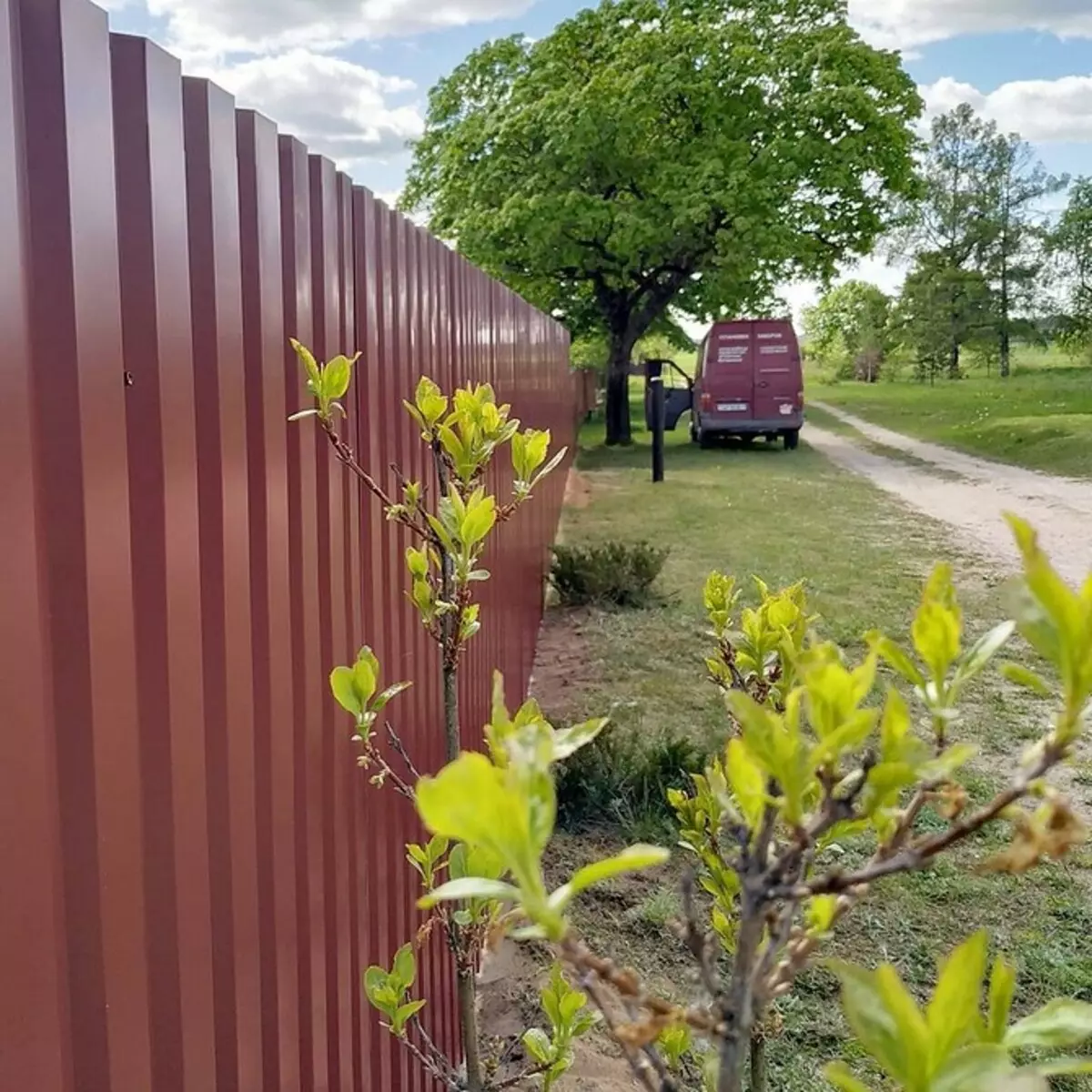 Каква ограда ќе ви одговараат? 8 видови на ограда за различни потреби 20144_28