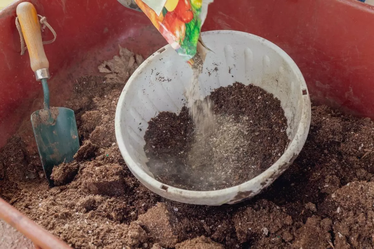 Sådan forbereder du jord til frøplanter: Forståelige instruktioner 20201_10