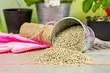 Vermiculite für Anlagen: 9 Anwendungsmethoden