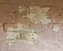 Istruzioni applicate: come rimuovere la vernice dalle pareti 2062_20