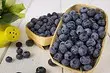 6 jenis blueberries taman terbaik untuk rantau Moscow