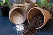 Qual é a diferença entre vermiculite perlite (e por que eles são usados ​​de forma diferente)