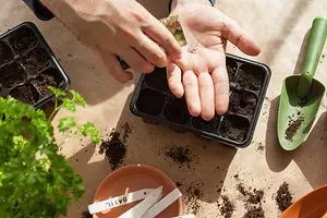 7 Effectieve methoden voor het voorkomen van zaaizaadbehandeling 21033_1