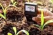 Hoe de grond op de tuin te dexide: 5 effectieve technieken