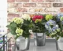 Ustvarite domači vrt: 8 lepih rastlin, ki jih lahko kupite v Ikea 21186_22