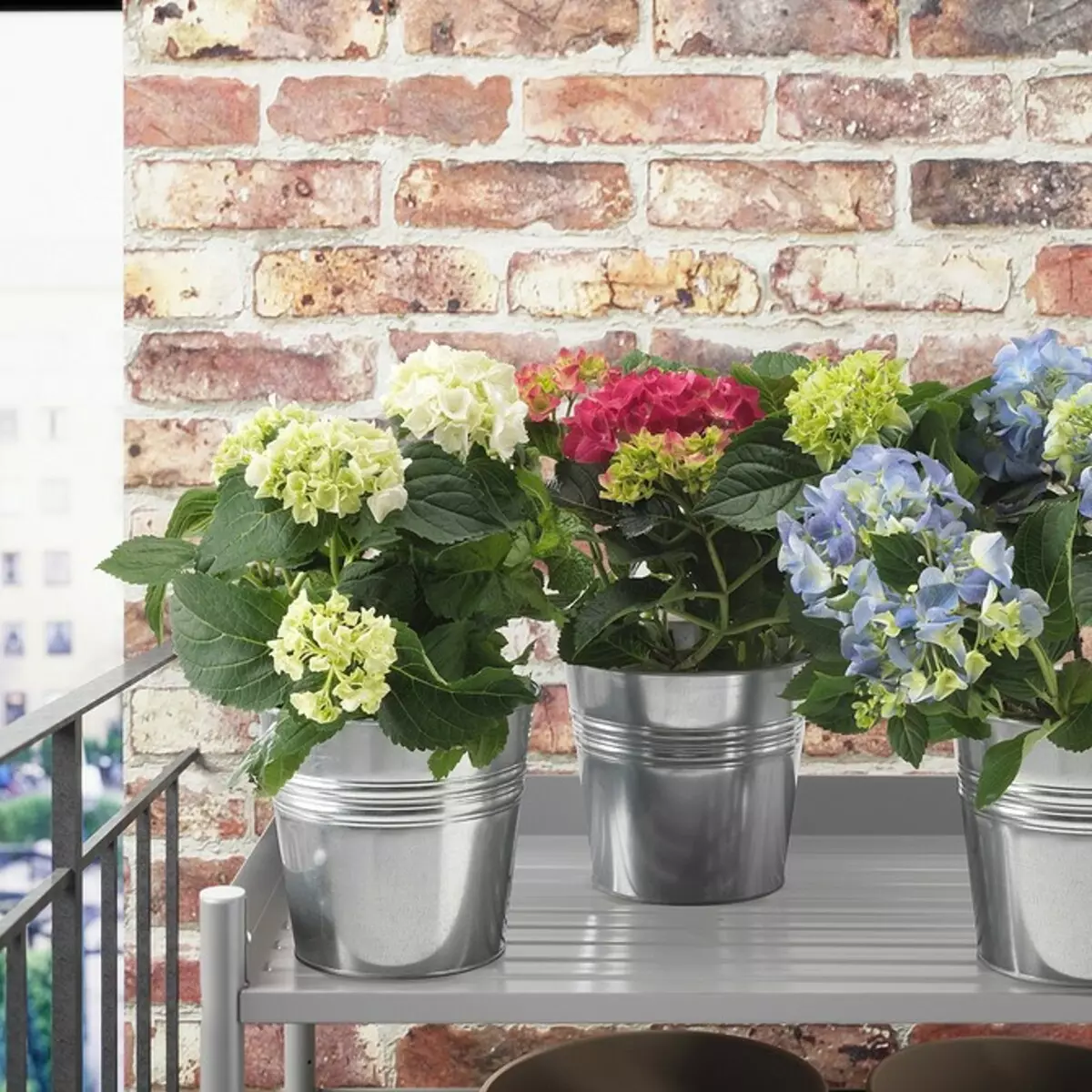 Ustvarite domači vrt: 8 lepih rastlin, ki jih lahko kupite v Ikea 21186_26