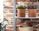 Krijo një kopsht në shtëpi: 8 bimë të bukura që mund të blihen në Ikea 21186_4