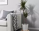 Bir ev bağı yaradın: IKEA-da satın alınan 8 gözəl bitki 21186_42