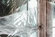 Πώς να απαλλαγείτε από αράχνες στο σπίτι: Αποτελεσματικός λαϊκός και αποθήκη
